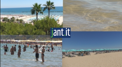 Intervista al Presidente Assoalbergatori Riviera delle Palme