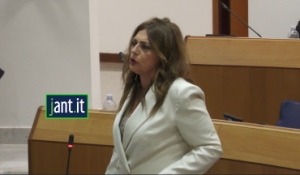 Conferenza stampa di Luciana Barlocci