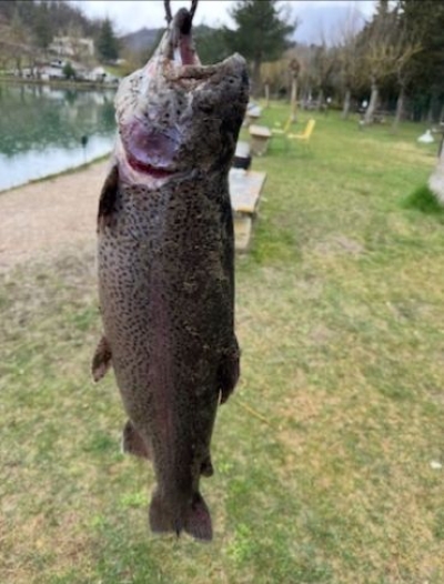 PESCA SPORTIVA: DOMENICA 22 FEBBRAIO AL VIA LA STAGIONE DELLA TROTA NELLE MARCHE