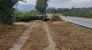 Ascoli Piceno - Pioggia e maltempo, tanti danni anche in citt&agrave;