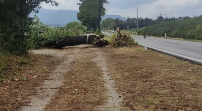 Ascoli Piceno - Pioggia e maltempo, tanti danni anche in città