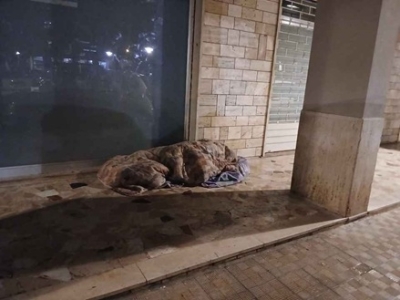 Si pone l'attenzione sul caso del cittadino che dorme sul pavimento del porticato dell'Istituto del Divino Amore in Piazza Cristo Re