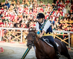 Ascoli Piceno - Quintana, Luca Innocenzi verr&agrave; premiato come miglior cavaliere d'Italia