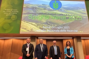 Spighe verdi 2025, le Marche al vertice della classifica